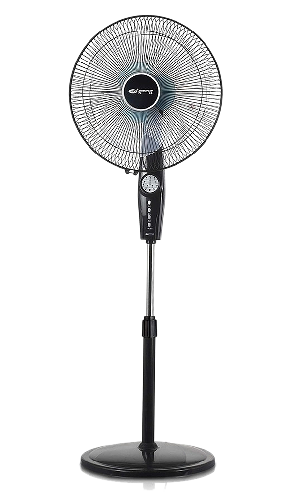 Fan